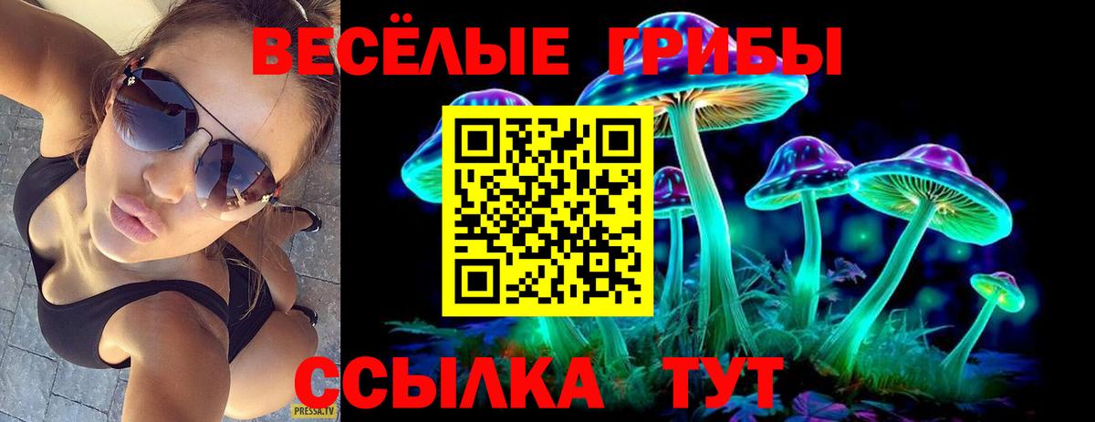 Псилоцибиновые грибы MAGIC MUSHROOMS  Псилоцибиновые грибы Psilocybe  Кудрово  Вход с VPN 