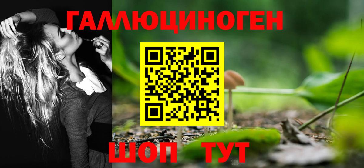 Галлюциногенные грибы MAGIC MUSHROOMS Кудрово